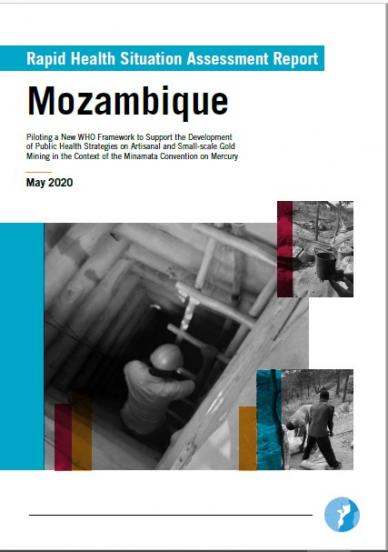 Rapid Health Situation Assessment Report: Mozambique | WHO | Regional ...